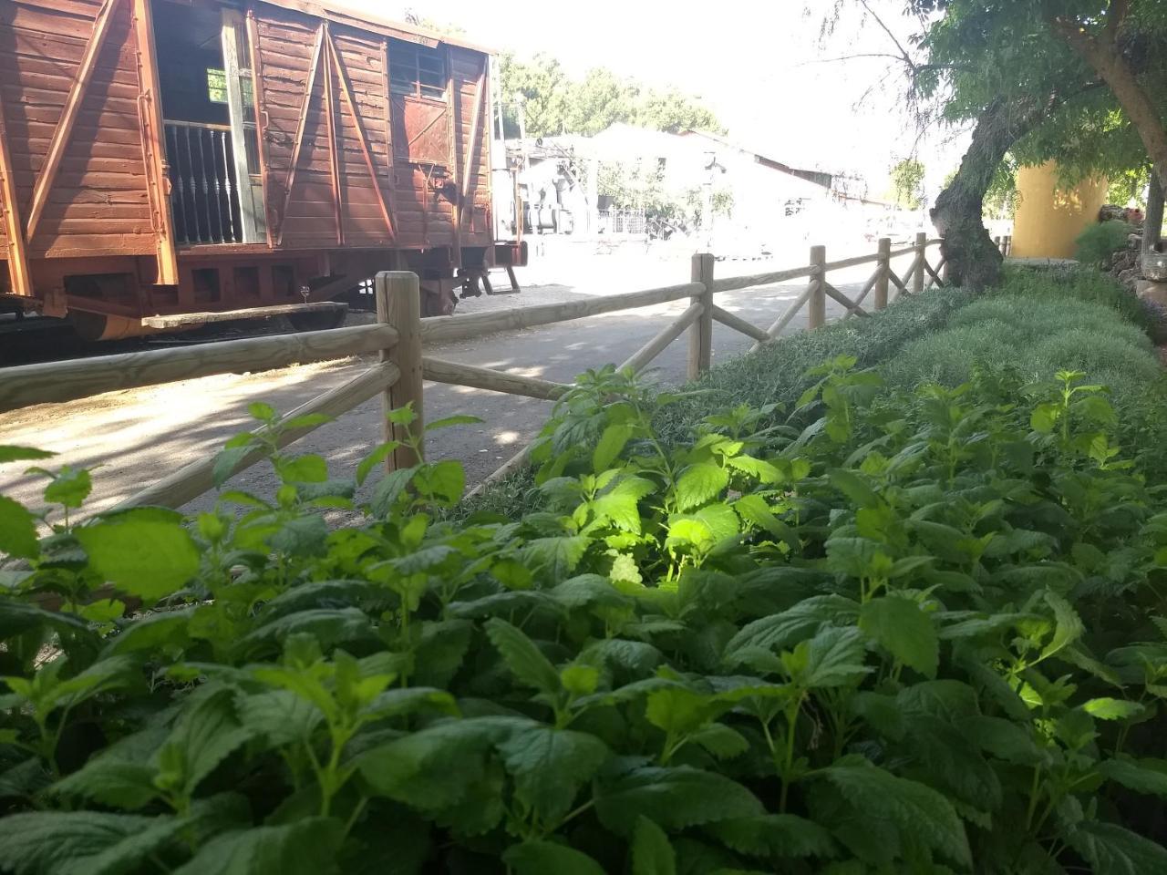 Hostal Nicol'S Hotel Luque Exterior foto